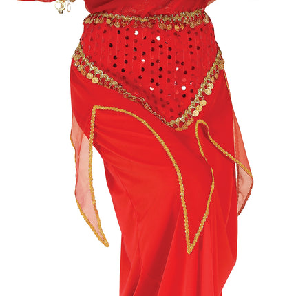 Costume indien pour dames