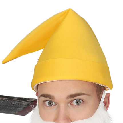 Costume de nains