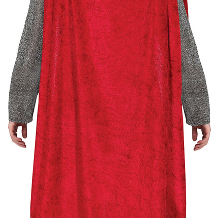 Costume de roi bleu homme