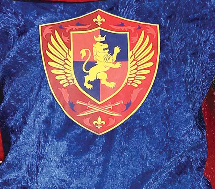 Costume de roi bleu homme
