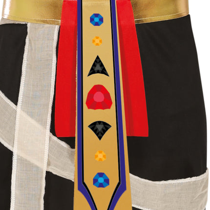 Costume d'Halloween Momie pour homme