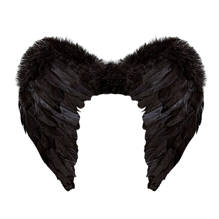 Ailes noires 50cm