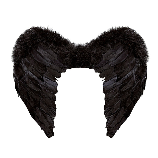Ailes noires 50cm