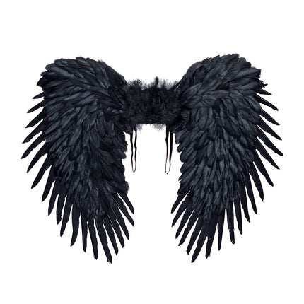 Ailes noires 80m