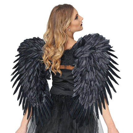 Ailes noires 80m