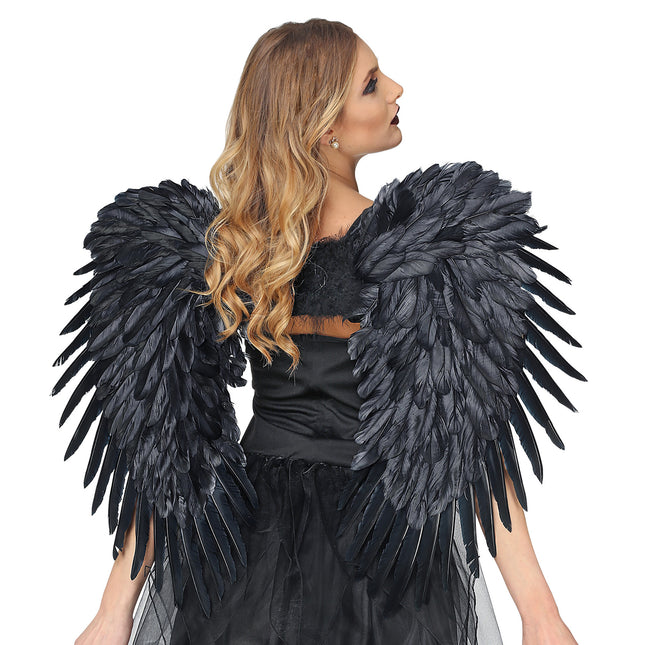 Ailes noires 80m