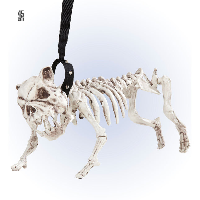 Halloween Chien Squelette Avec Ceinture 45cm