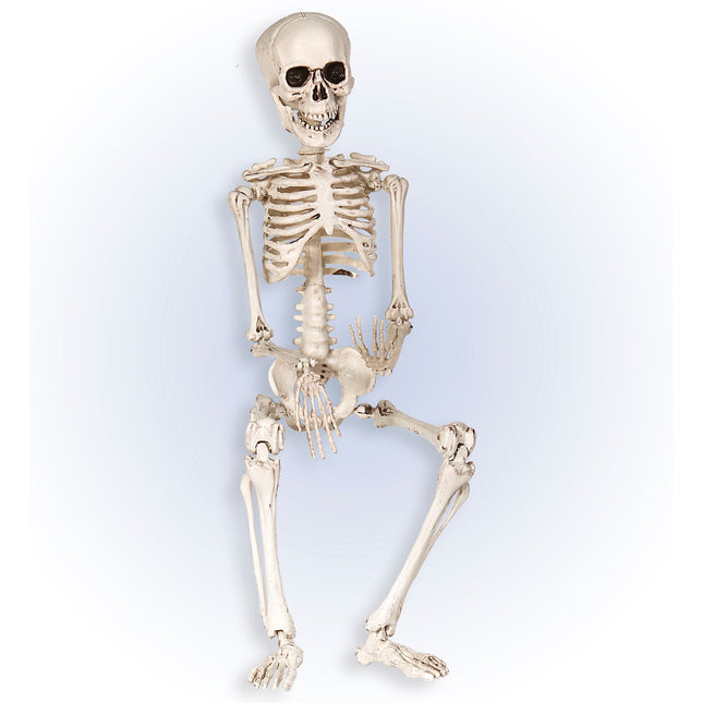 Halloween Squelette Blanc 50cm