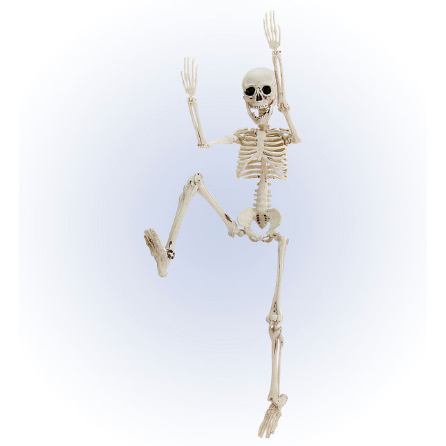 Halloween Squelette Blanc 50cm