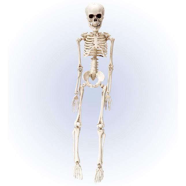 Halloween Squelette Blanc 50cm
