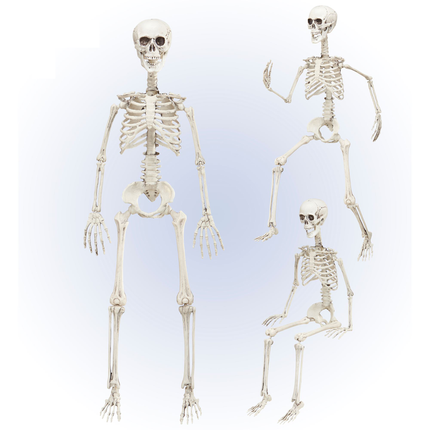 Squelette mobile d'Halloween 90cm