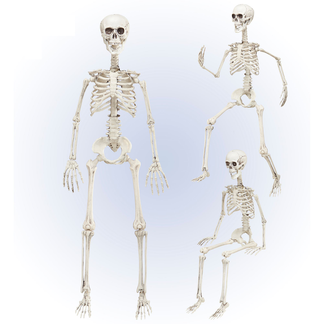 Squelette mobile d'Halloween 90cm