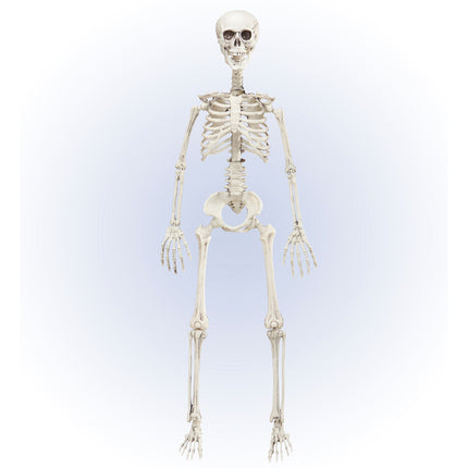 Squelette mobile d'Halloween 90cm