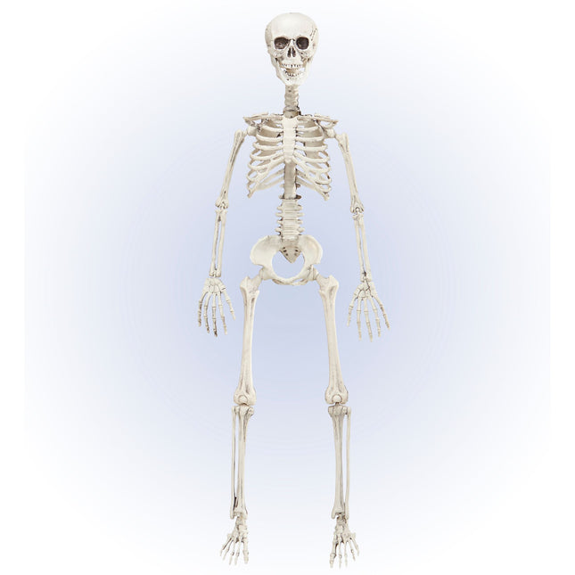 Squelette mobile d'Halloween 90cm