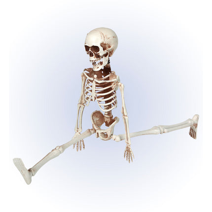 Squelette mobile d'Halloween 40cm