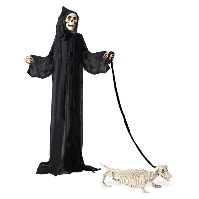 Tekkel squelette d'Halloween avec ceinture