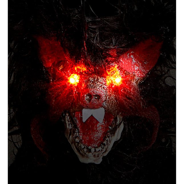 Faux chauve-souris d'Halloween avec lumière 89cm