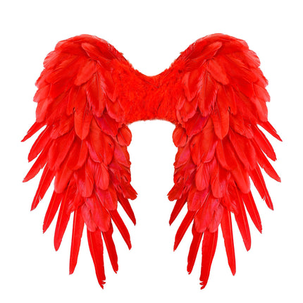 Plumes d'ailes rouges 50cm