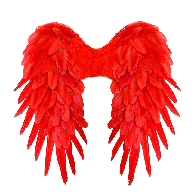Plumes d'ailes rouges 50cm