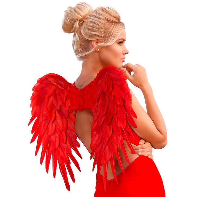 Plumes d'ailes rouges 50cm