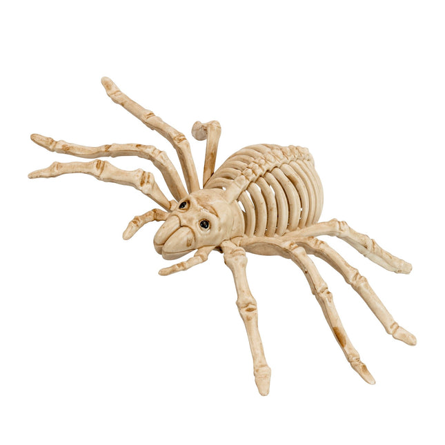 Halloween Faux squelette d'araignée 24cm