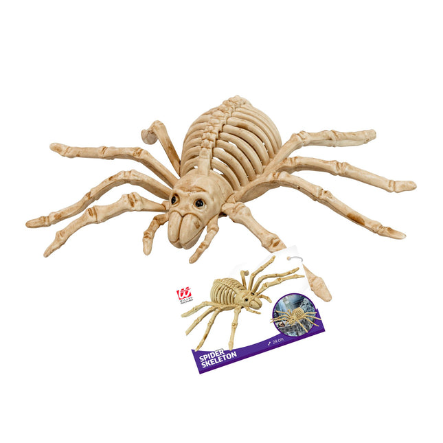 Halloween Faux squelette d'araignée 24cm