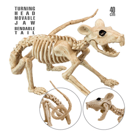 Halloween Squelette Rat 40cm