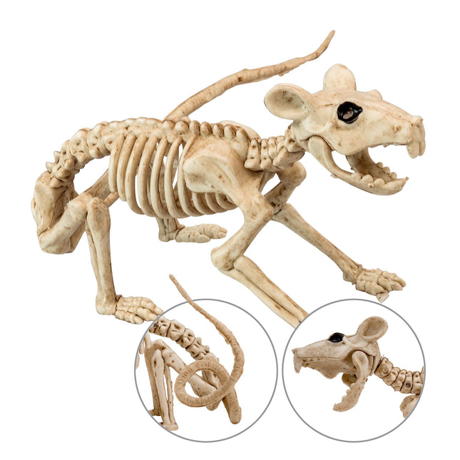 Halloween Squelette Rat 40cm