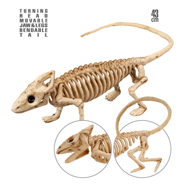 Halloween Squelette Iguane 43cm