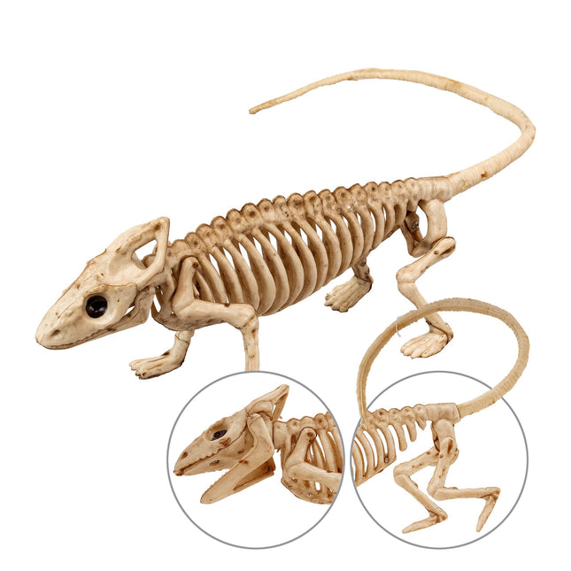 Halloween Squelette Iguane 43cm