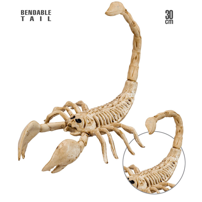 Halloween Squelette Scorpion 30cm