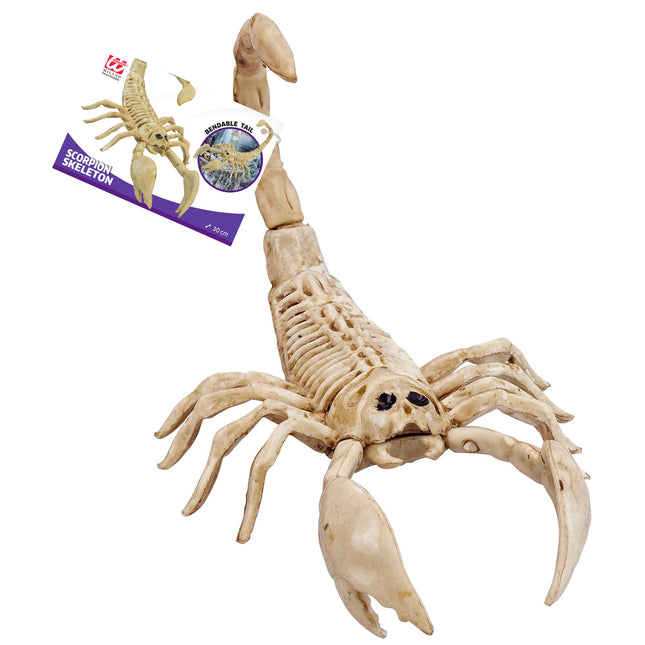 Halloween Squelette Scorpion 30cm