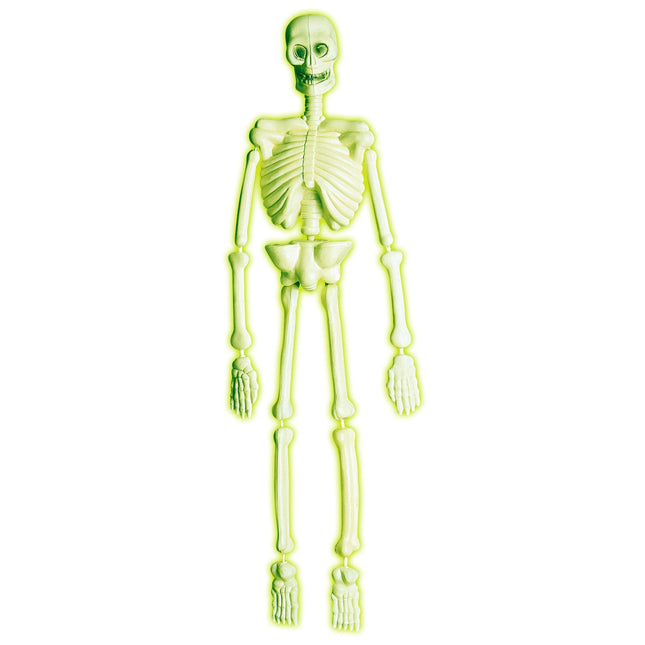 Laboratoire d'Halloween Squelette 90cm