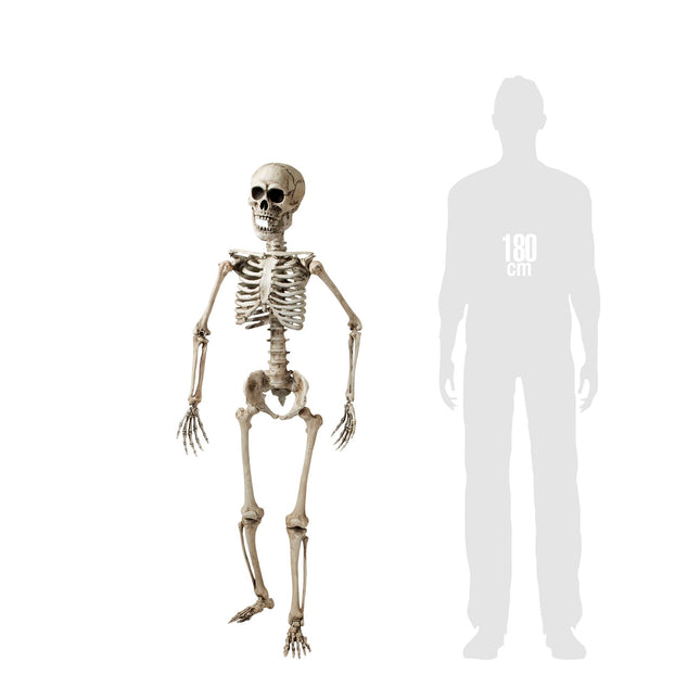 Halloween Squelette Blanc 1.6m