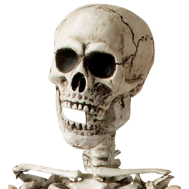 Halloween Squelette Blanc 1.6m