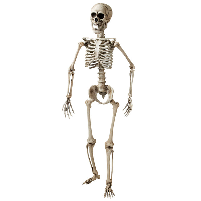 Halloween Squelette Blanc 1.6m