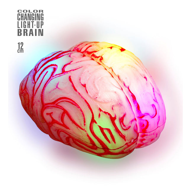 Halloween Faux cerveau 12cm