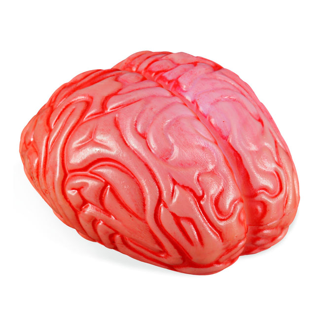 Halloween Faux cerveau 12cm