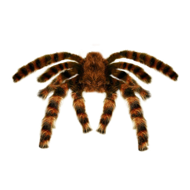 Faux araignée d'Halloween 65cm
