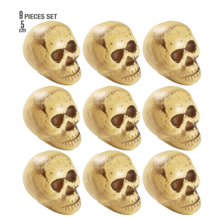 Crâne d'Halloween 9pcs