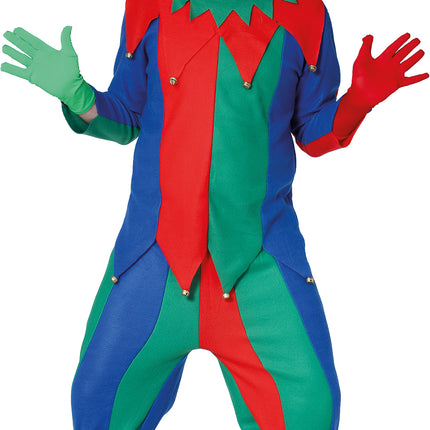 Costume de bouffon