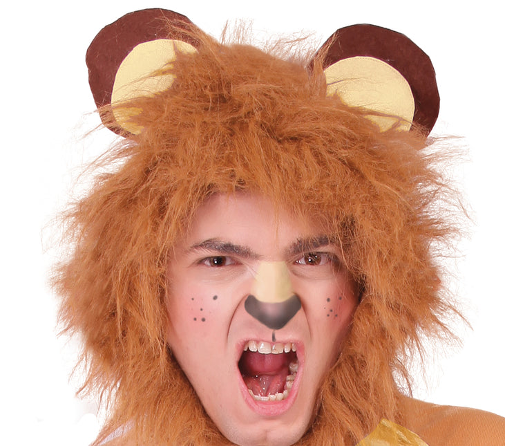 Costume de lion