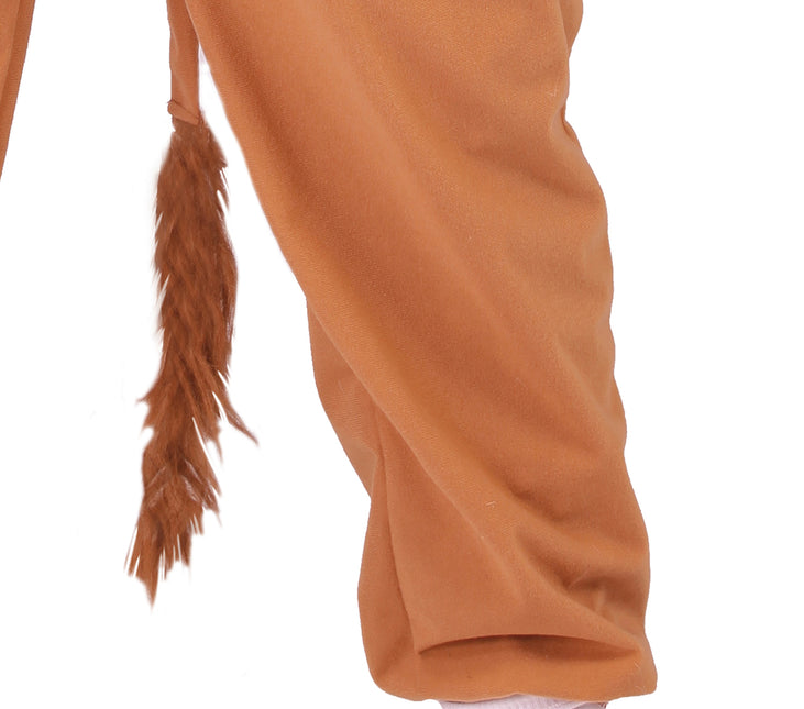 Costume de lion