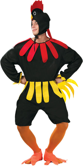 Costume de coq L