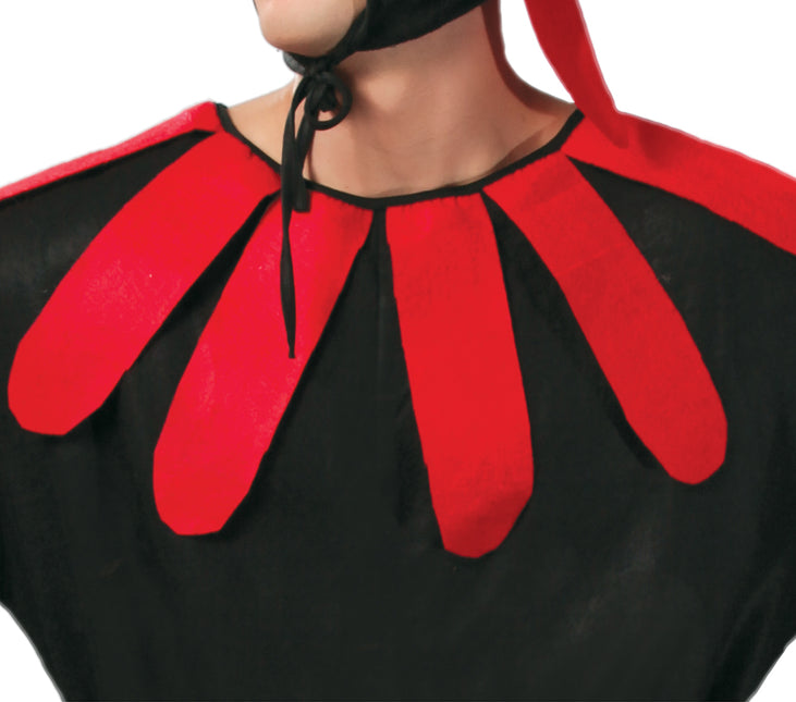 Costume de coq L