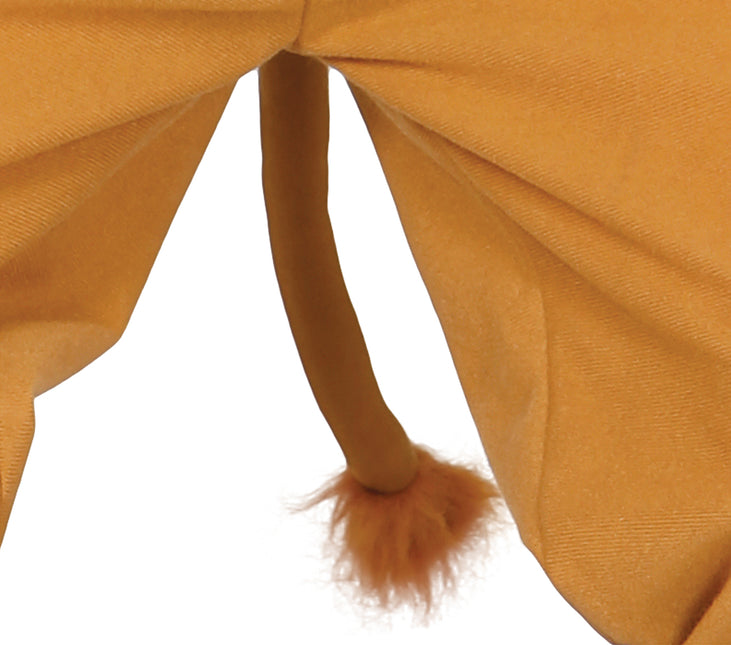 Costume de lion pour enfant