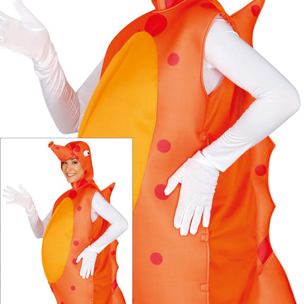Costume d'hippocampe L
