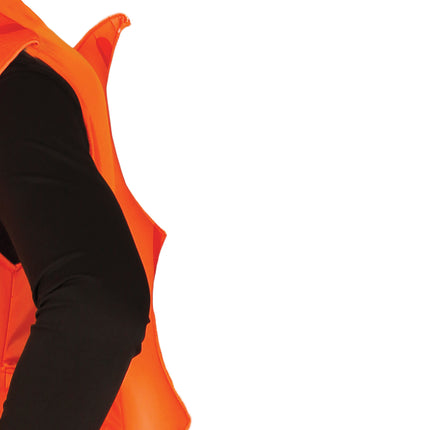 Costume d'hippocampe L
