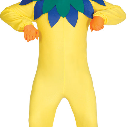 Costume de poulet