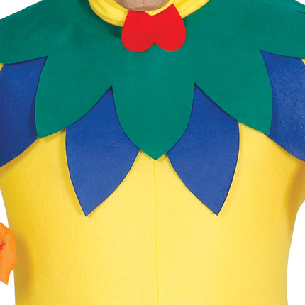 Costume de poulet